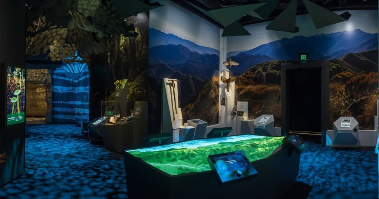 Paparoa Experience Ticket - image 4